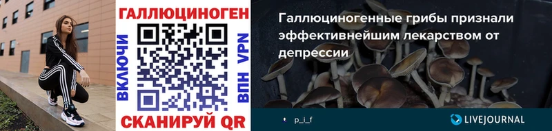сколько стоит Энгельс Галлюциногенные грибы Psilocybine cubensis